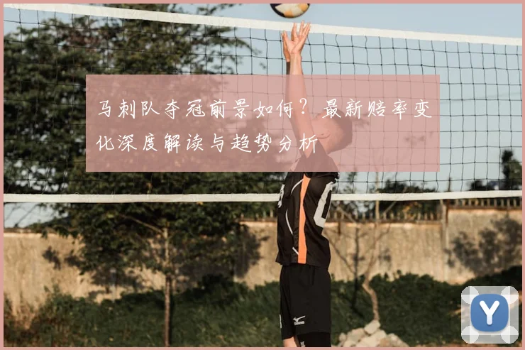 马刺队夺冠前景如何？最新赔率变化深度解读与趋势分析